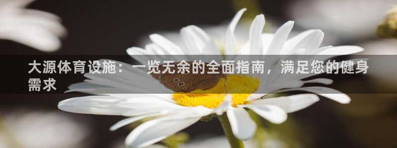 ag旗舰平台尊龙代言